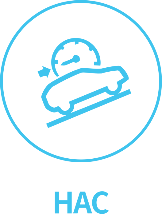 X30LEV -ico -dual HAC